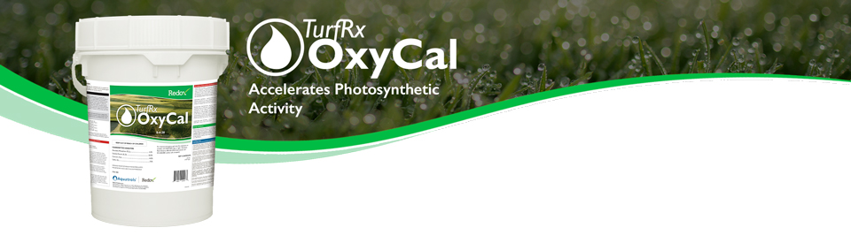 TurfRx OxyCal bucket