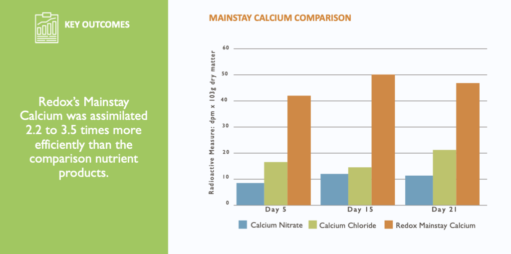 Mainstay calcium comparison graph