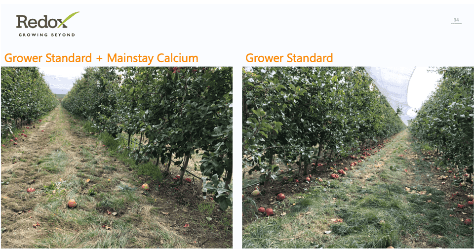grower standard and mainstay calcium 