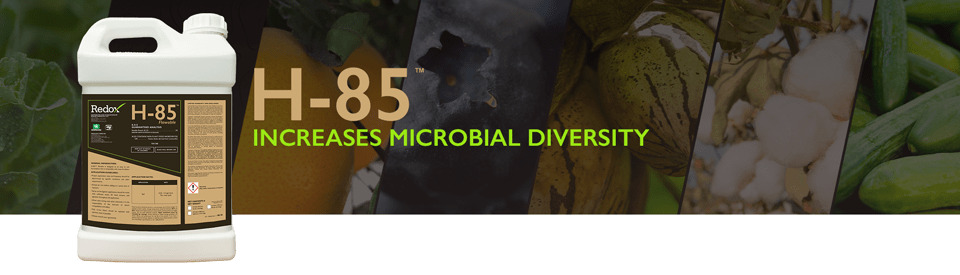 H-85 Increases Microbial DIversity