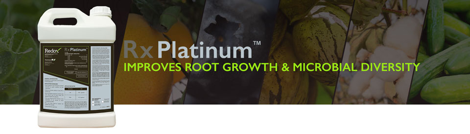 RxPlatinum fertilizer