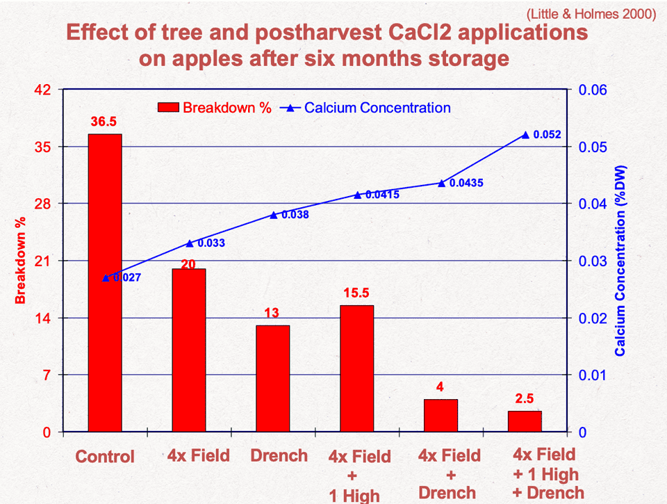 Effects of tree and postharvest CaCl2 applications on apples after six months storage
