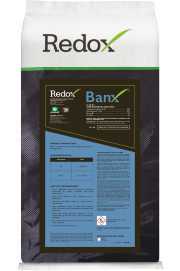 Banx product shot