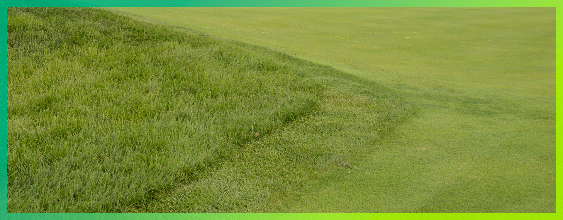 CALCIUM ALL SEASON LONG Redox Bio nutrients calcium-all-season-long-redox-bio-nutrients