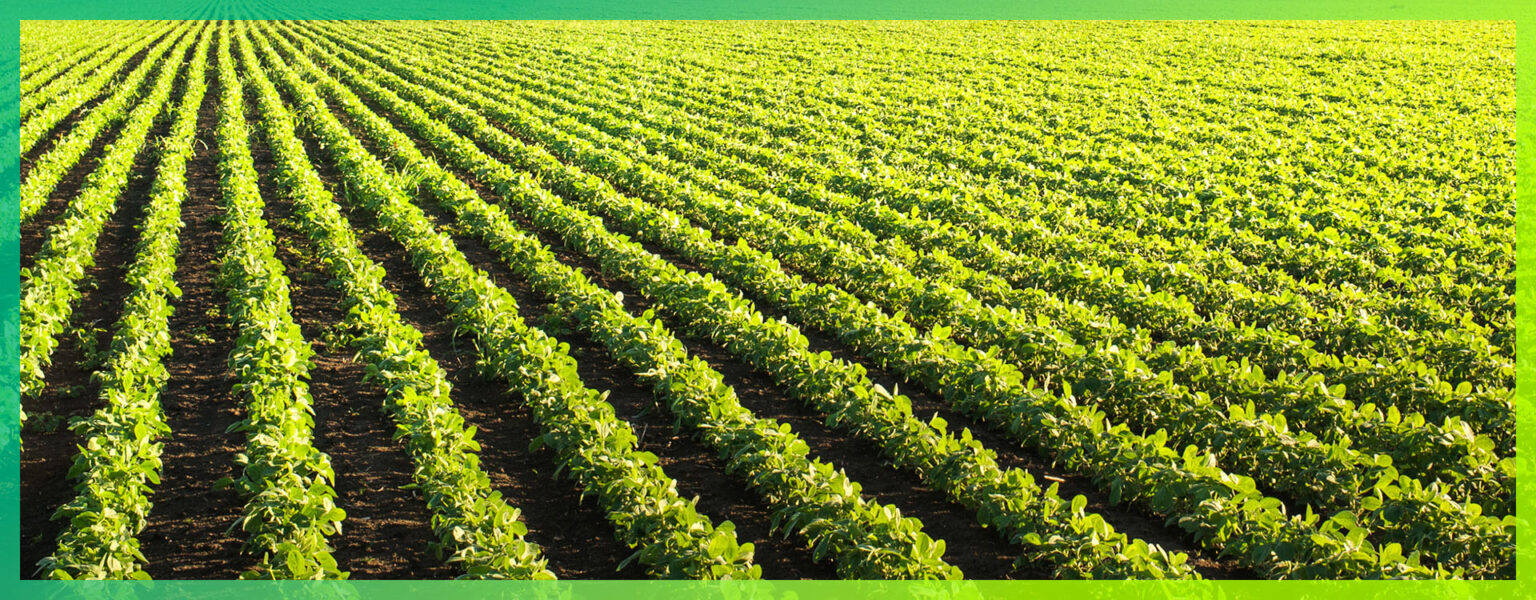 What Is Fractionation and Why It Matters - Redox Bio-nutrients