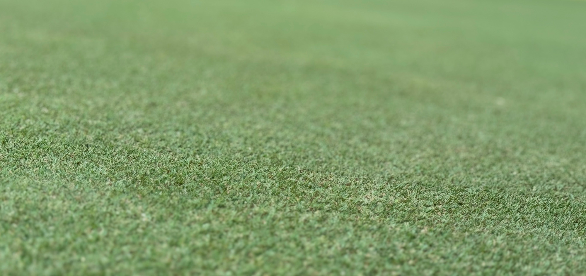 Southwood Golf Club